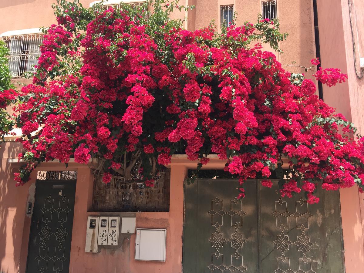 Riad Nejma Lounge Марракеш Екстер'єр фото
