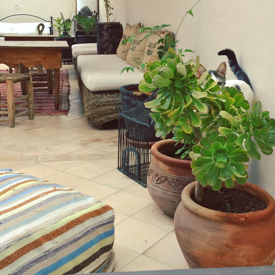 Riad Nejma Lounge Марракеш Екстер'єр фото